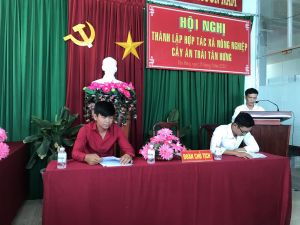 HUYỆN BÌNH TÂN THÀNH LẬP HỢP TÁC XÃ THANH NIÊN