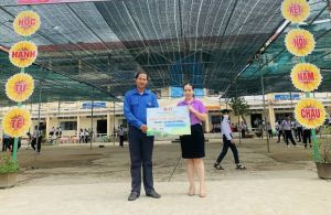 MÔ HÌNH GHẾ ĐÁ ĐỘI VIÊN NĂM 2023